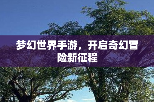 梦幻世界手游，开启奇幻冒险新征程