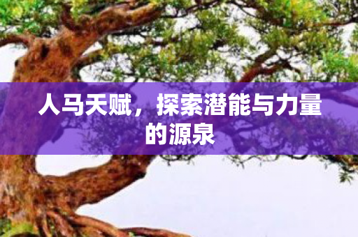 人马天赋,探索潜能与力量的源泉 人马天赋,探索潜能与力量的源泉