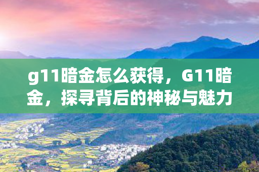 g11暗金怎么获得，G11暗金，探寻背后的神秘与魅力
