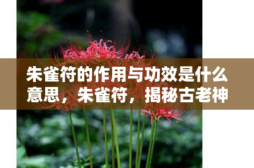 朱雀符的作用与功效是什么意思,朱雀符,揭秘古老神秘符咒的奥秘 朱雀符的作用与功效是什么意思,朱雀符,揭秘古老神秘符咒的奥秘