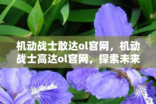 机动战士敢达ol官网,机动战士高达ol官网,探索未来战场的新纪元 机动战士敢达ol官网,机动战士高达ol官网,探索未来战场的新纪元