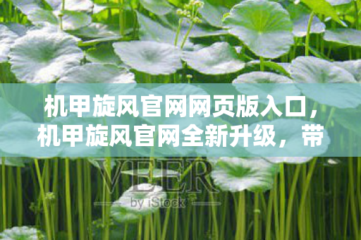 机甲旋风官网网页版入口,机甲旋风官网全新升级,带你领略未来战争的魅力 机甲旋风官网网页版入口,机甲旋风官网全新升级,带你领略未来战争的魅力