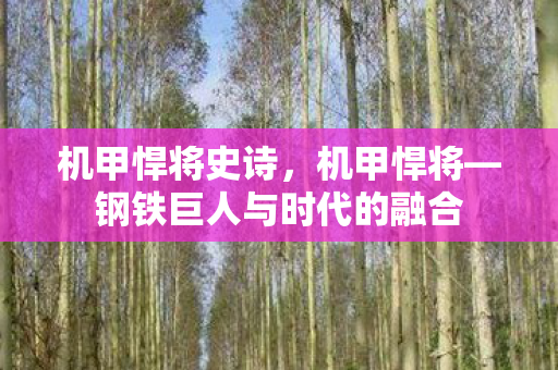 机甲悍将史诗,机甲悍将—钢铁巨人与时代的融合 机甲悍将史诗,机甲悍将—钢铁巨人与时代的融合