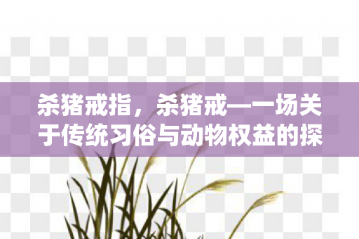 杀猪戒指,杀猪戒—一场关于传统习俗与动物权益的探讨 杀猪戒指,杀猪戒—一场关于传统习俗与动物权益的探讨