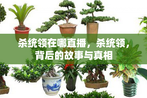 杀统领在哪直播,杀统领,背后的故事与真相 杀统领在哪直播,杀统领,背后的故事与真相