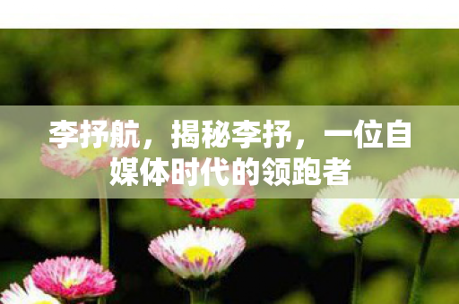 李抒航，揭秘李抒，一位自媒体时代的领跑者