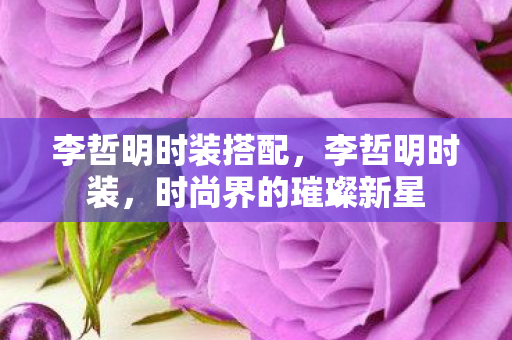 李哲明时装搭配，李哲明时装，时尚界的璀璨新星