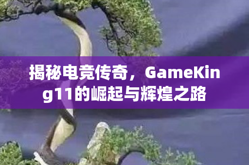 揭秘电竞传奇,GameKing11的崛起与辉煌之路 揭秘电竞传奇,GameKing11的崛起与辉煌之路
