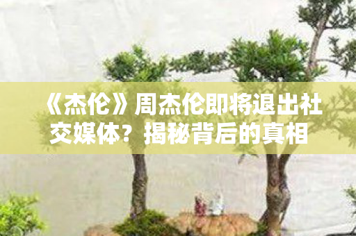 《杰伦》周杰伦即将退出社交媒体?揭秘背后的真相 《杰伦》周杰伦即将退出社交媒体?揭秘背后的真相