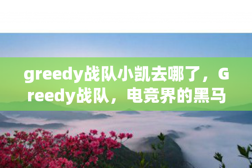 greedy战队小凯去哪了,Greedy战队,电竞界的黑马新势力 greedy战队小凯去哪了,Greedy战队,电竞界的黑马新势力