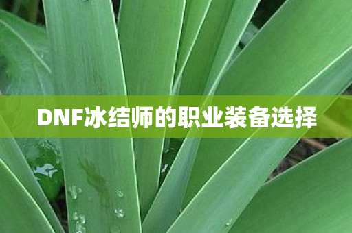 DNF冰结师的职业装备选择 DNF冰结师的职业装备选择
