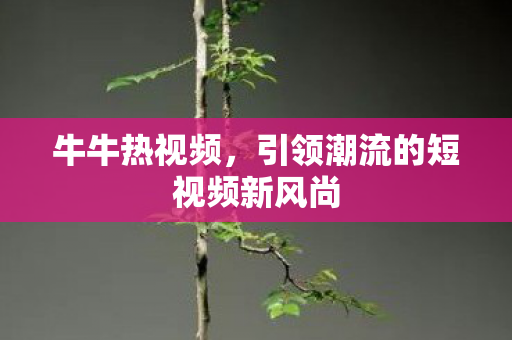 牛牛热视频,引领潮流的短视频新风尚 牛牛热视频,引领潮流的短视频新风尚