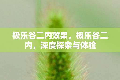极乐谷二内效果,极乐谷二内,深度探索与体验 极乐谷二内效果,极乐谷二内,深度探索与体验