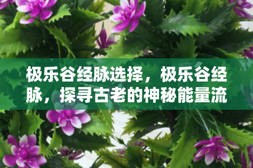 极乐谷经脉选择,极乐谷经脉,探寻古老的神秘能量流 极乐谷经脉选择,极乐谷经脉,探寻古老的神秘能量流
