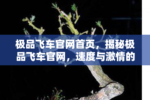 极品飞车官网首页，揭秘极品飞车官网，速度与激情的无限可能