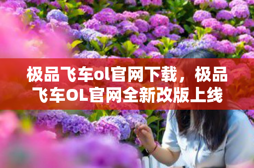 极品飞车ol官网下载，极品飞车OL官网全新改版上线，速度与激情再度燃烧！