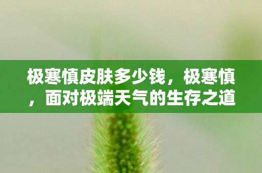 极寒慎皮肤多少钱,极寒慎,面对极端天气的生存之道 极寒慎皮肤多少钱,极寒慎,面对极端天气的生存之道