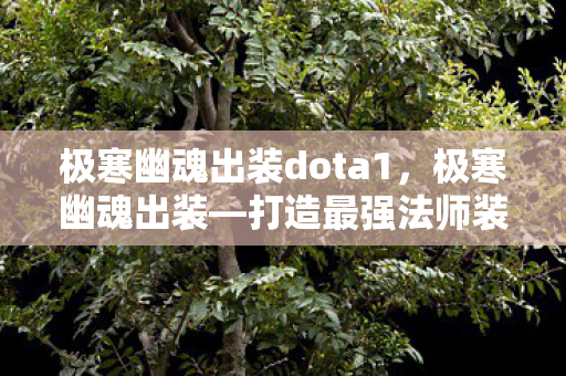 极寒幽魂出装dota1,极寒幽魂出装—打造最强法师装备搭配攻略 极寒幽魂出装dota1,极寒幽魂出装—打造最强法师装备搭配攻略