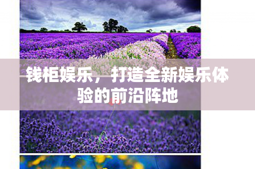 钱柜娱乐,打造全新娱乐体验的前沿阵地 钱柜娱乐,打造全新娱乐体验的前沿阵地