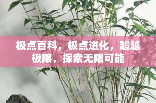 极点百科,极点进化,超越极限,探索无限可能 极点百科,极点进化,超越极限,探索无限可能