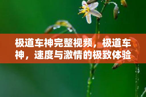 极道车神完整视频,极道车神,速度与激情的极致体验—下载攻略与深度评测 极道车神完整视频,极道车神,速度与激情的极致体验—下载攻略与深度评测
