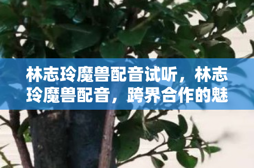 林志玲魔兽配音试听,林志玲魔兽配音,跨界合作的魅力与游戏世界的震撼 林志玲魔兽配音试听,林志玲魔兽配音,跨界合作的魅力与游戏世界的震撼
