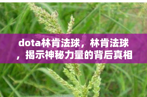 dota林肯法球,林肯法球,揭示神秘力量的背后真相 dota林肯法球,林肯法球,揭示神秘力量的背后真相