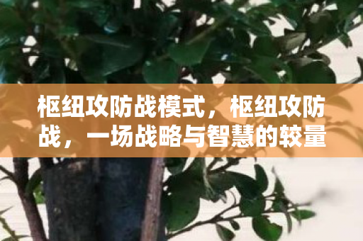 枢纽攻防战模式,枢纽攻防战,一场战略与智慧的较量 枢纽攻防战模式,枢纽攻防战,一场战略与智慧的较量
