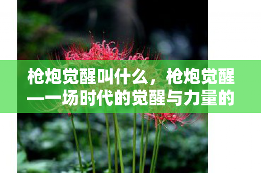 枪炮觉醒叫什么,枪炮觉醒—一场时代的觉醒与力量的重塑 枪炮觉醒叫什么,枪炮觉醒—一场时代的觉醒与力量的重塑