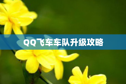 QQ飞车车队升级攻略