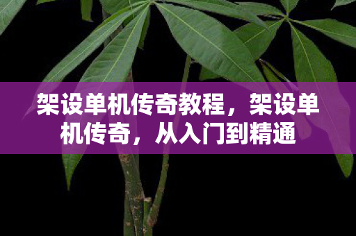 架设单机传奇教程,架设单机传奇,从入门到精通 架设单机传奇教程,架设单机传奇,从入门到精通
