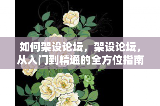 如何架设论坛，架设论坛，从入门到精通的全方位指南