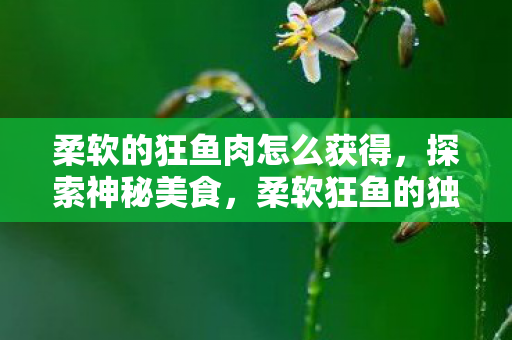 柔软的狂鱼肉怎么获得,探索神秘美食,柔软狂鱼的独特魅力 柔软的狂鱼肉怎么获得,探索神秘美食,柔软狂鱼的独特魅力