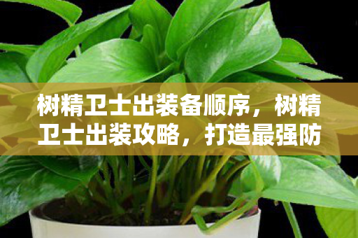 树精卫士出装备顺序,树精卫士出装攻略,打造最强防御核心 树精卫士出装备顺序,树精卫士出装攻略,打造最强防御核心