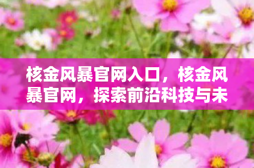 核金风暴官网入口,核金风暴官网,探索前沿科技与未来娱乐的交汇点 核金风暴官网入口,核金风暴官网,探索前沿科技与未来娱乐的交汇点