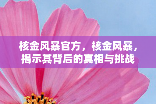 核金风暴官方,核金风暴,揭示其背后的真相与挑战 核金风暴官方,核金风暴,揭示其背后的真相与挑战