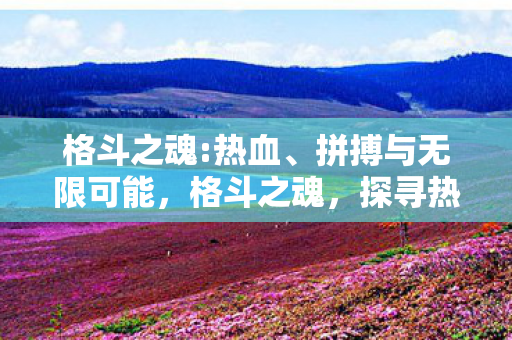 格斗之魂:热血、拼搏与无限可能，格斗之魂，探寻热血竞技背后的精神力量
