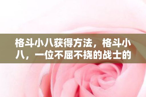 格斗小八获得方法，格斗小八，一位不屈不挠的战士的成长之路