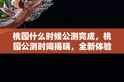 桃园什么时候公测完成,桃园公测时间揭晓,全新体验等你来! 桃园什么时候公测完成,桃园公测时间揭晓,全新体验等你来!