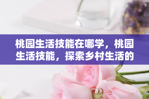 桃园生活技能在哪学，桃园生活技能，探索乡村生活的无限魅力与实用技能