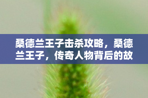 桑德兰王子击杀攻略,桑德兰王子,传奇人物背后的故事 桑德兰王子击杀攻略,桑德兰王子,传奇人物背后的故事