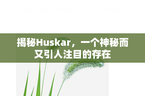 揭秘Huskar，一个神秘而又引人注目的存在
