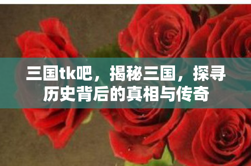 三国tk吧,揭秘三国,探寻历史背后的真相与传奇 三国tk吧,揭秘三国,探寻历史背后的真相与传奇