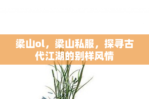 梁山ol，梁山私服，探寻古代江湖的别样风情