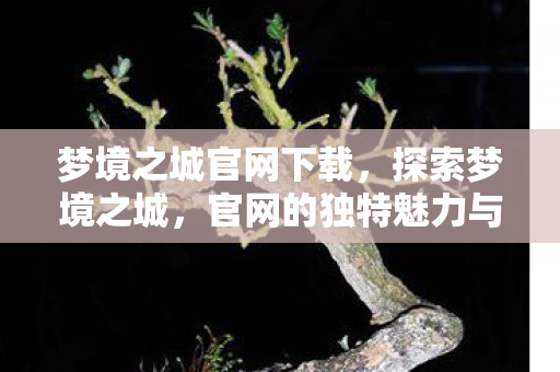 梦境之城官网下载，探索梦境之城，官网的独特魅力与无限奇遇