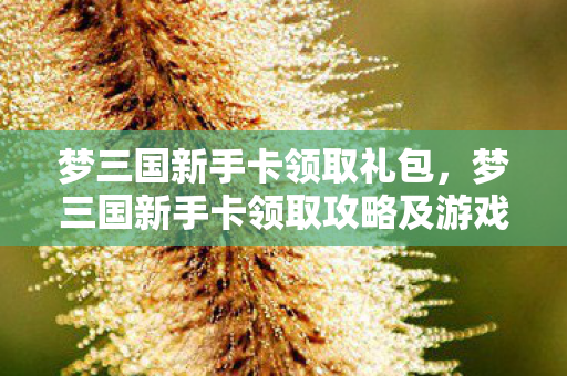 梦三国新手卡领取礼包，梦三国新手卡领取攻略及游戏入门指南