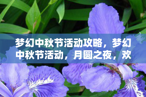 梦幻中秋节活动攻略,梦幻中秋节活动,月圆之夜,欢乐盛宴 梦幻中秋节活动攻略,梦幻中秋节活动,月圆之夜,欢乐盛宴