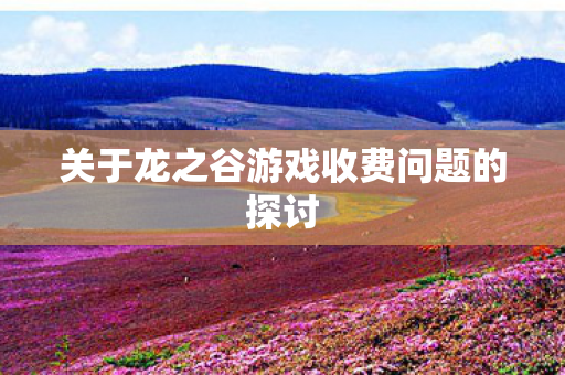 关于龙之谷游戏收费问题的探讨 关于龙之谷游戏收费问题的探讨