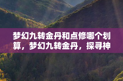 梦幻九转金丹和点修哪个划算,梦幻九转金丹,探寻神秘力量的奇幻之旅 梦幻九转金丹和点修哪个划算,梦幻九转金丹,探寻神秘力量的奇幻之旅