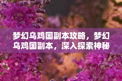 梦幻乌鸡国副本攻略,梦幻乌鸡国副本,深入探索神秘之地 梦幻乌鸡国副本攻略,梦幻乌鸡国副本,深入探索神秘之地